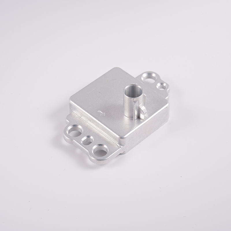 Coque de caméra en aluminium du véhicule LT-21