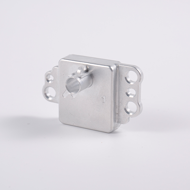Coque de caméra en aluminium du véhicule LT-21