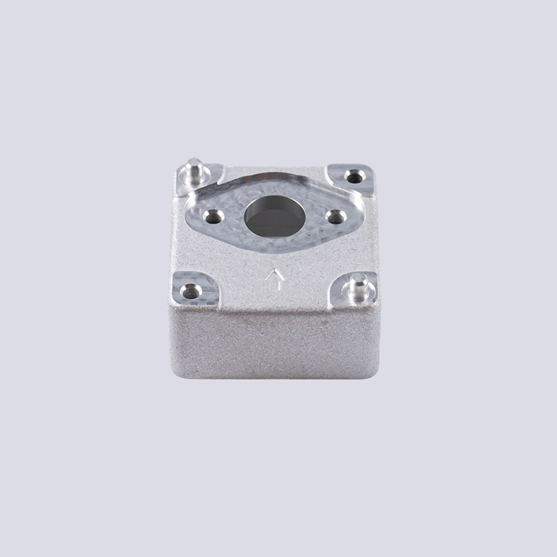 Coque de caméra en aluminium du véhicule LT-11