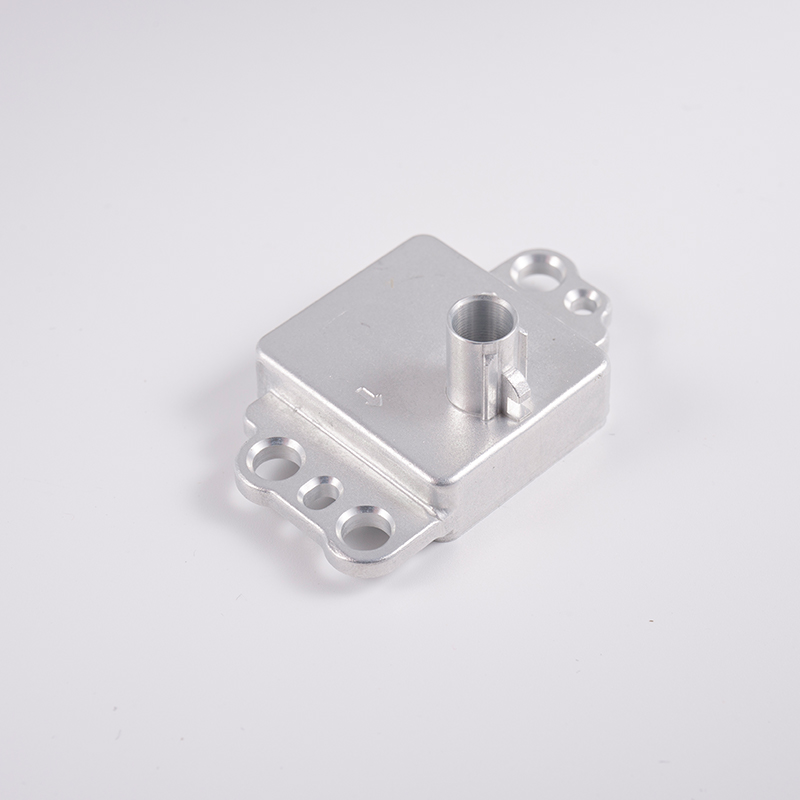 Coque de caméra en aluminium du véhicule LT-21